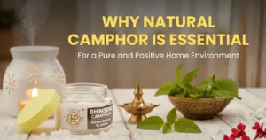 Natural Camphor